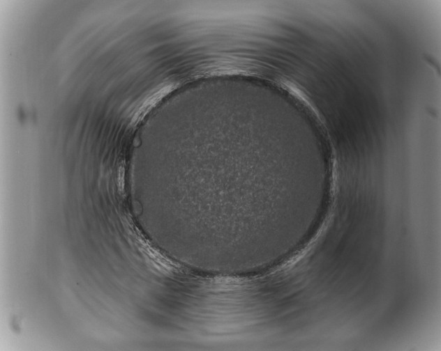 X0000100390777200806130951