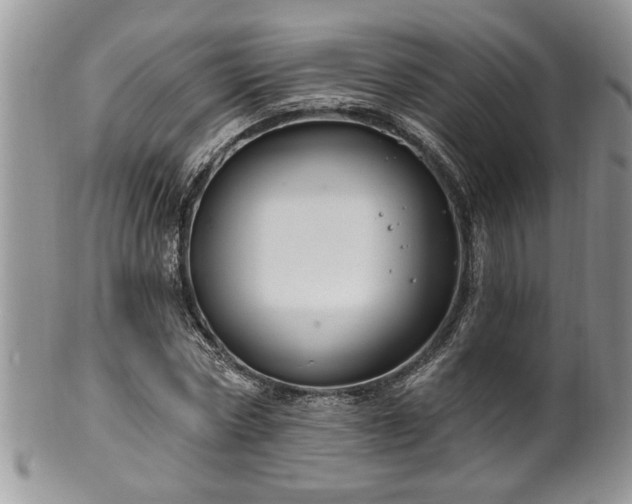 X0000100390778200806130951