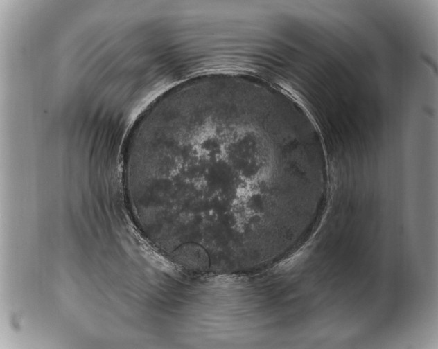 X0000100390779200806130951