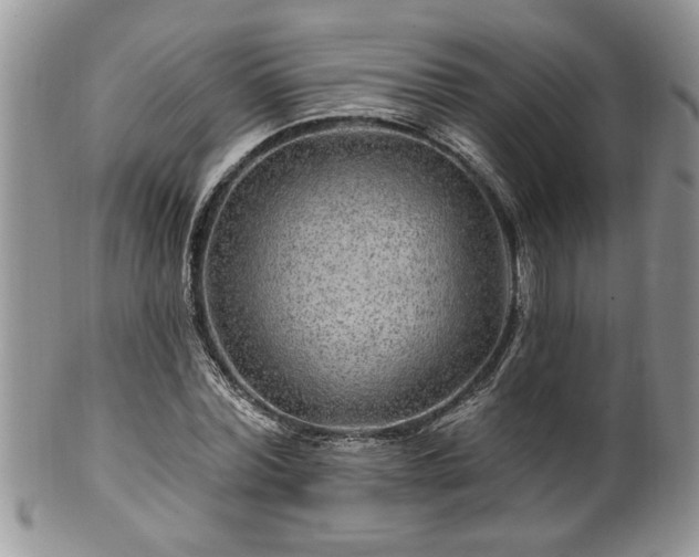 X0000100390780200806130951