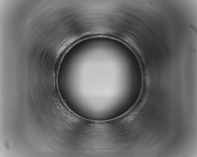 X0000100390781200806130951