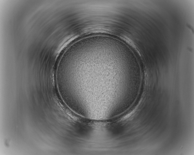 X0000100390782200806130951