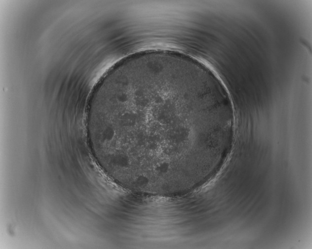 X0000100390783200806130951