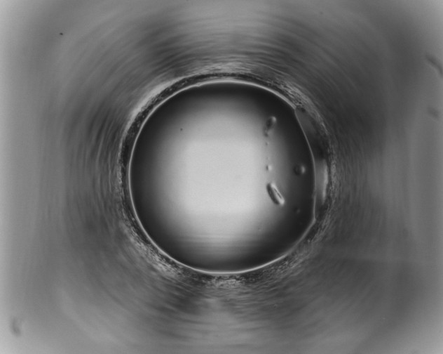 X0000100390784200806130951