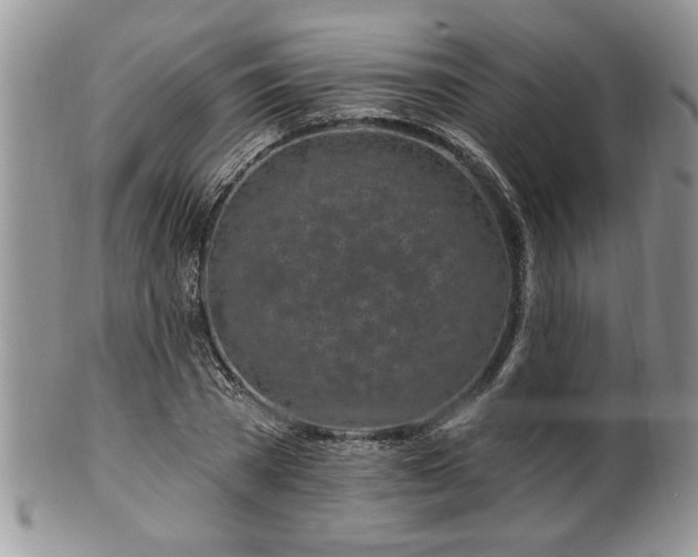 X0000100390785200806130951