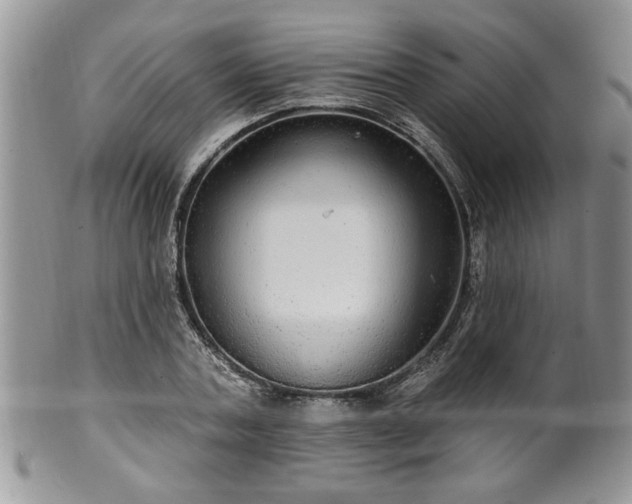 X0000100390787200806130951