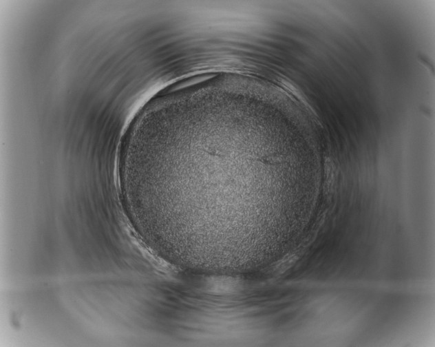 X0000100390788200806130951