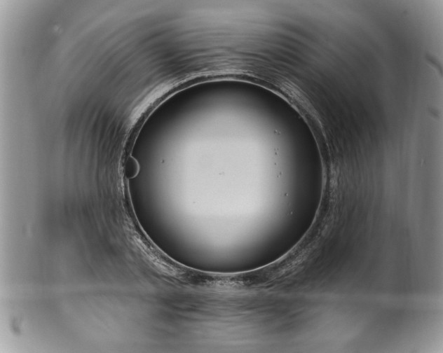 X0000100390789200806130951