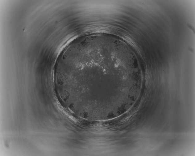 X0000100390790200806130951