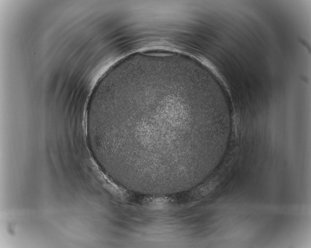 X0000100390791200806130951