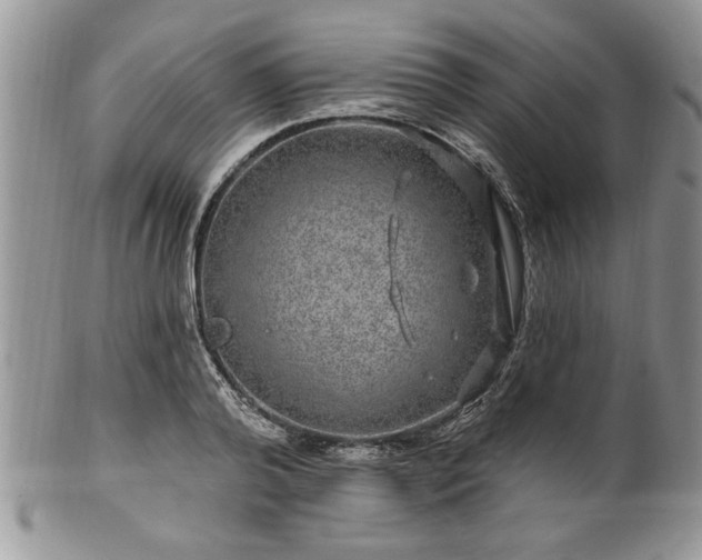 X0000100390792200806130951