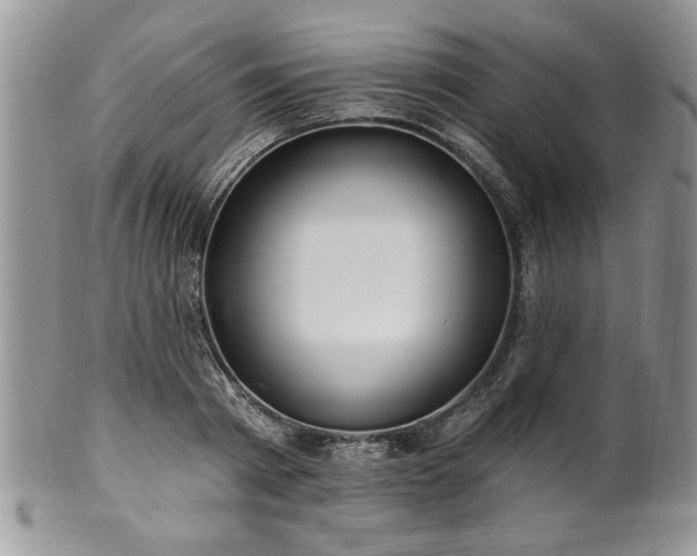 X0000100390793200806130951