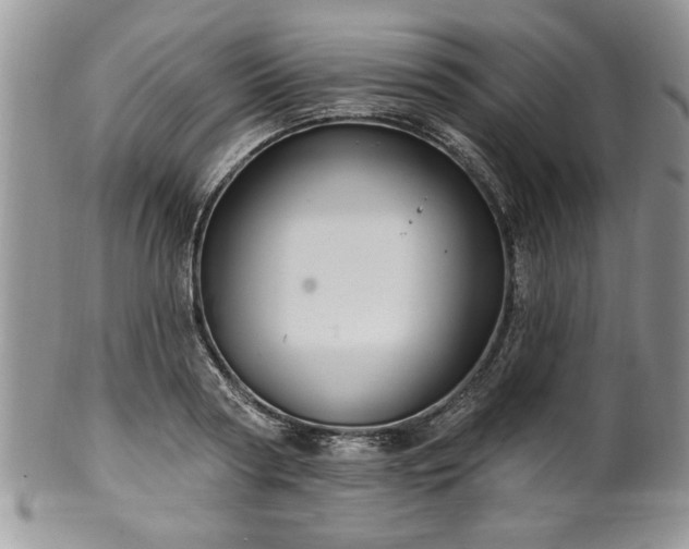 X0000100390794200806130951