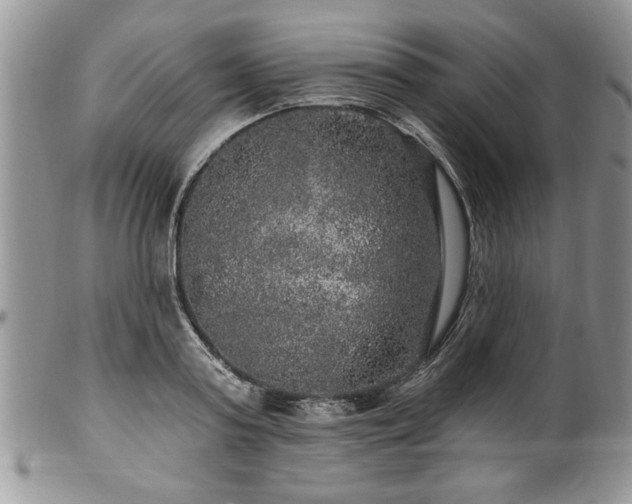 X0000100390795200806130951