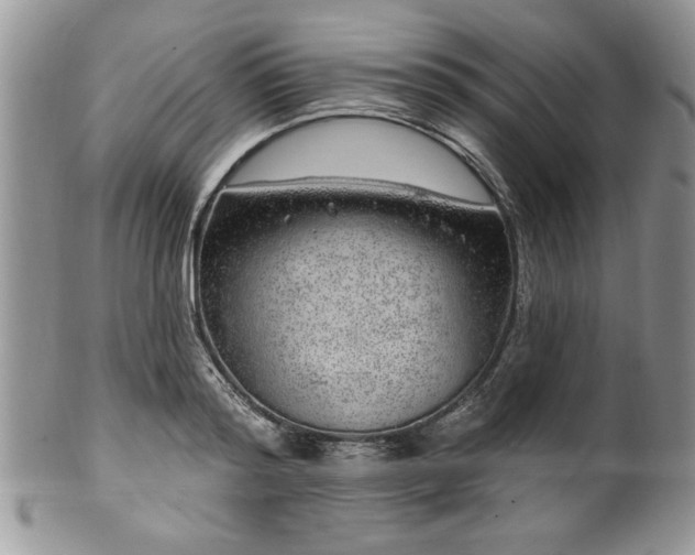 X0000100390796200806130951