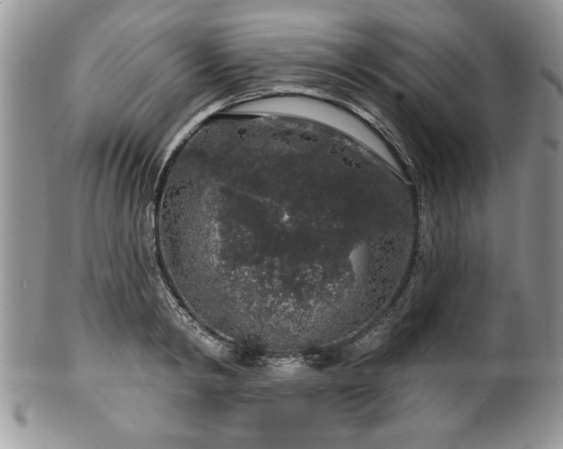 X0000100390798200806130951