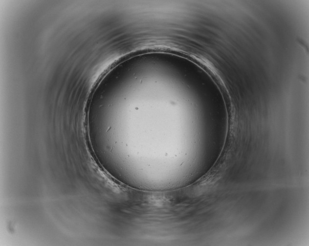 X0000100390799200806130951