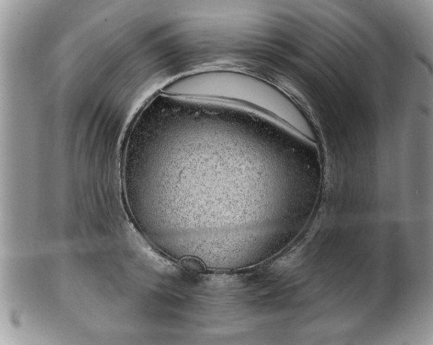 X0000100390800200806130951