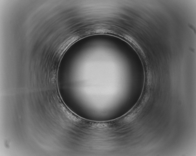 X0000100390801200806130951