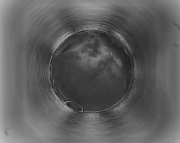 X0000100390802200806130951