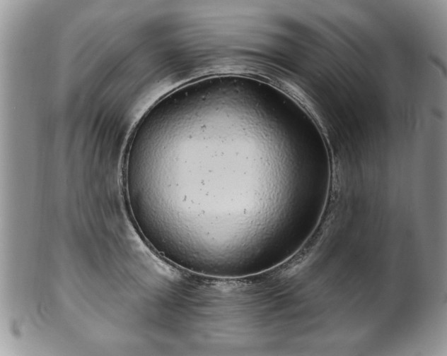 X0000100390803200806130951