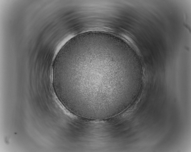 X0000100390804200806130951