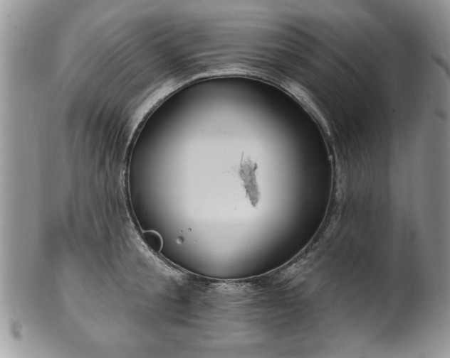 X0000100390805200806130950