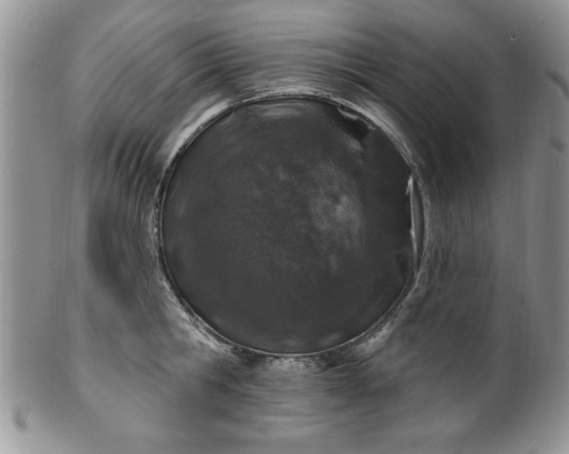 X0000100390806200806130950