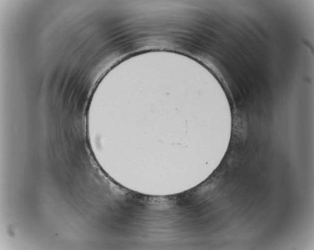 X0000100390807200806130950