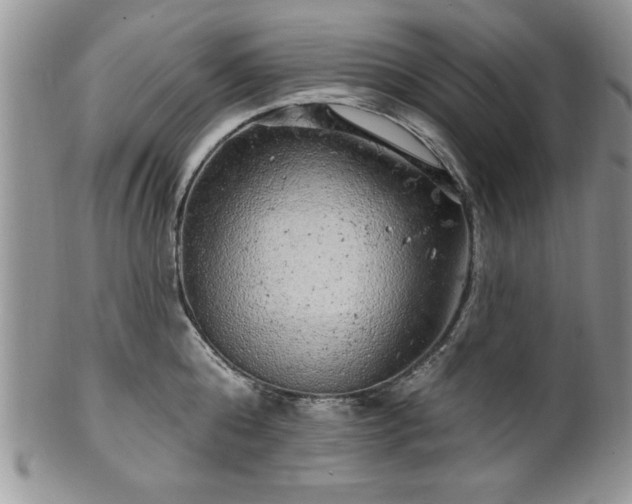 X0000100390808200806130950