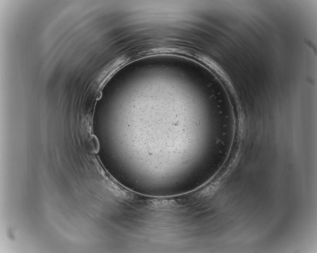 X0000100390809200806130950