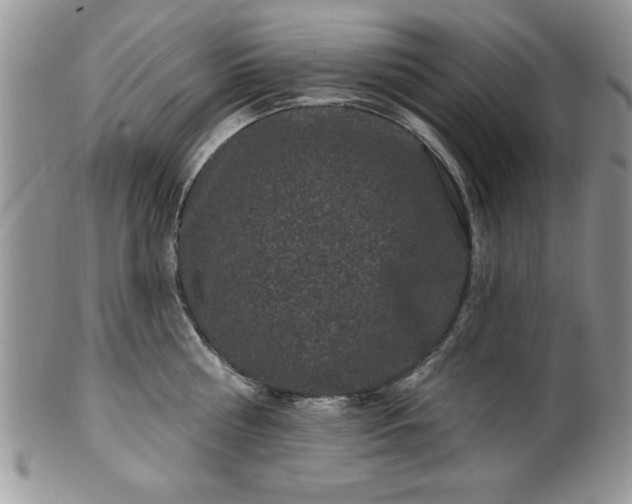 X0000100390810200806130950