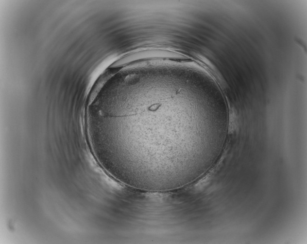 X0000100390812200806130950