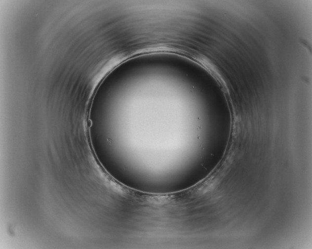 X0000100390813200806130950