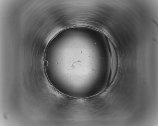 X0000100390814200806130950