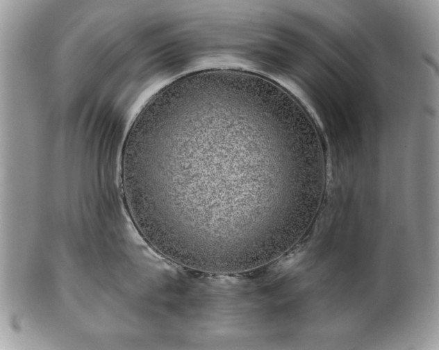 X0000100390815200806130950