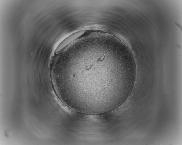 X0000100390816200806130950