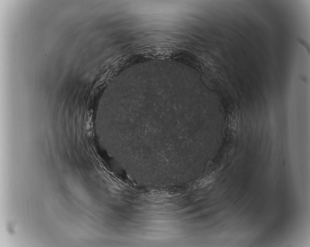 X0000100390818200806130950