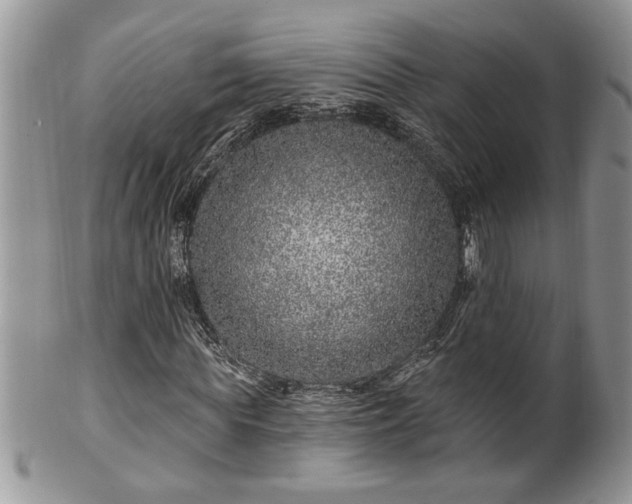 X0000100390819200806130950