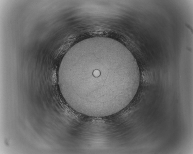 X0000100390820200806130950