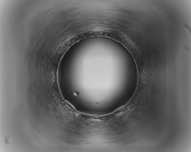 X0000100390821200806130950