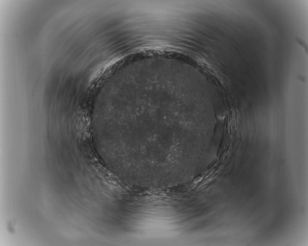 X0000100390822200806130950