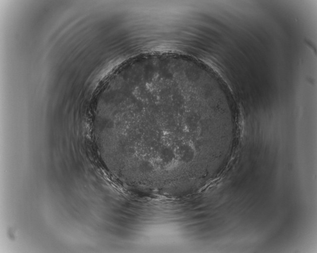 X0000100390823200806130950