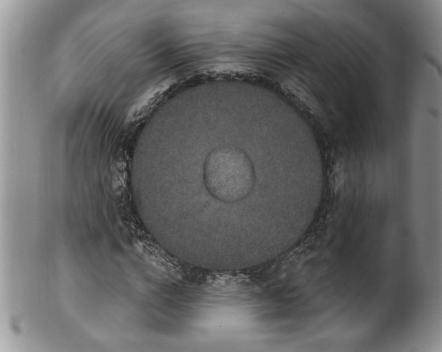 X0000100390824200806130950