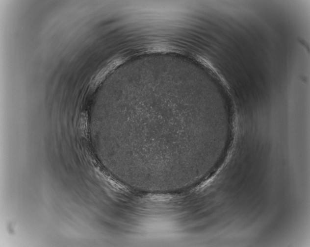 X0000100390825200806130950