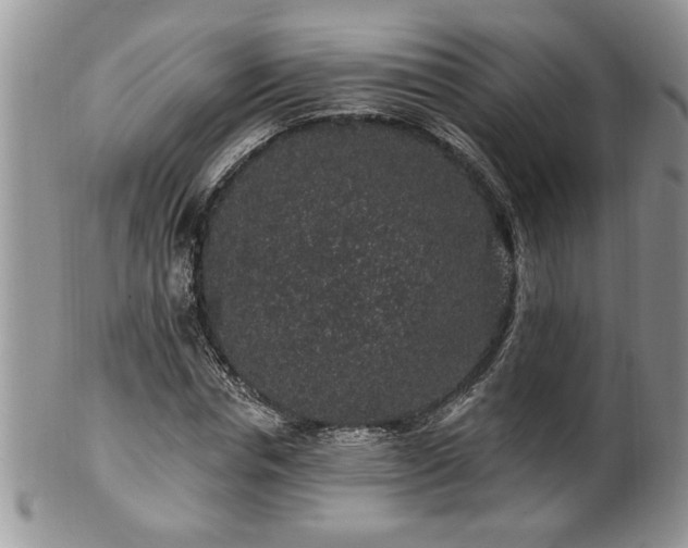 X0000100390826200806130950