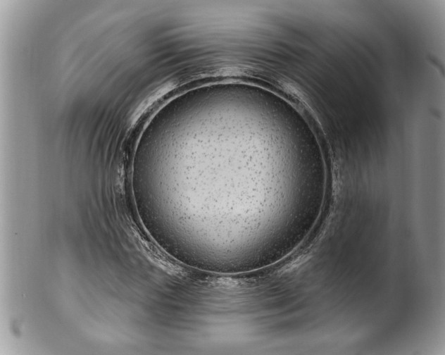 X0000100390827200806130950