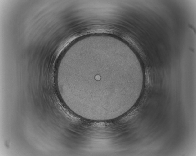 X0000100390828200806130950