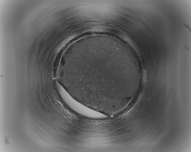 X0000100390829200806130950