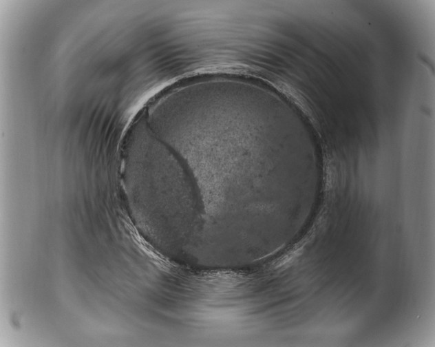 X0000100390830200806130950